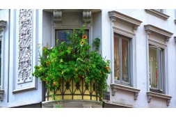 Nápady jak zastínit balkon pro větší soukromí Nápady jak zastínit balkon pro větší soukromí
